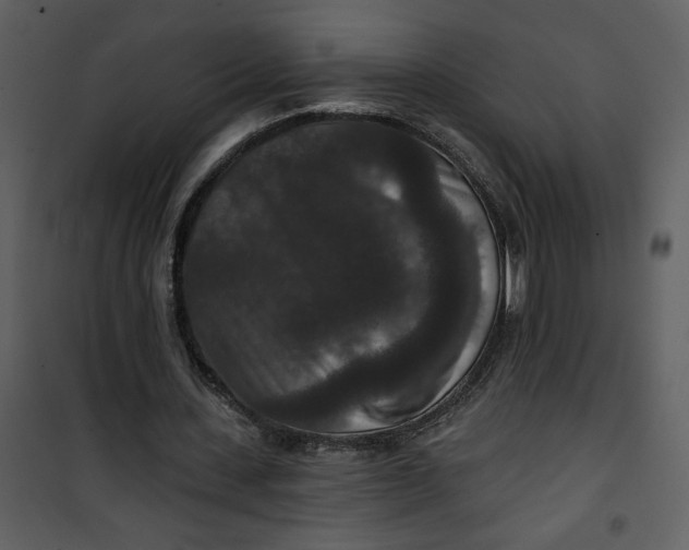 X0000101140531200807181257