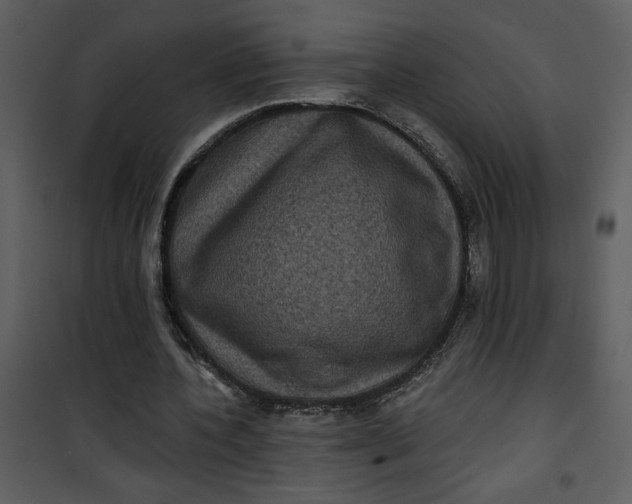 X0000101140532200807181257