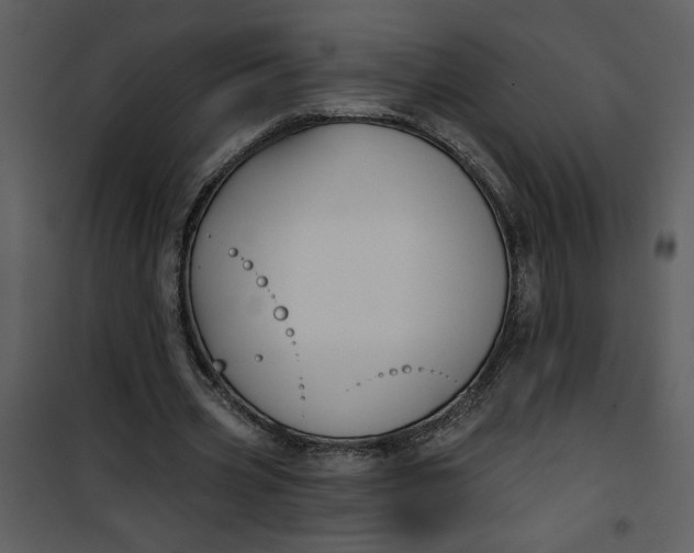 X0000101140533200807181257