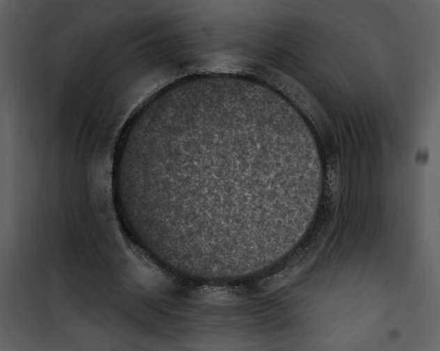 X0000101140534200807181257