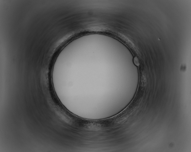 X0000101140535200807181257