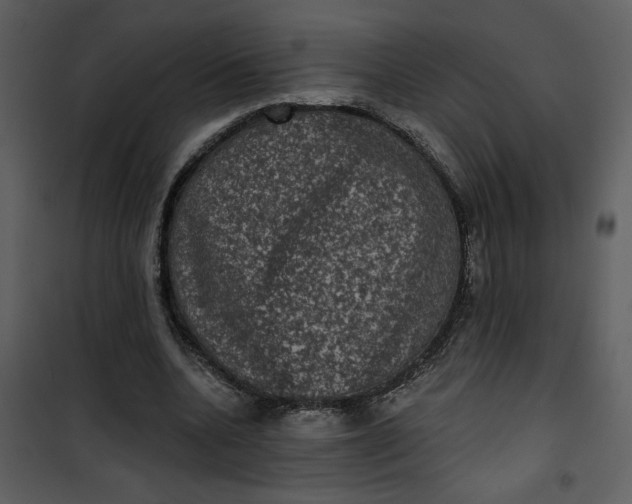 X0000101140536200807181257