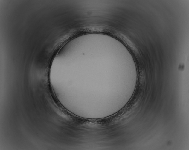 X0000101140537200807181257