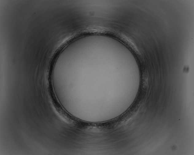 X0000101140538200807181257