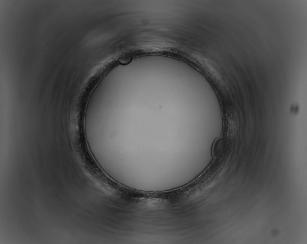 X0000101140539200807181257