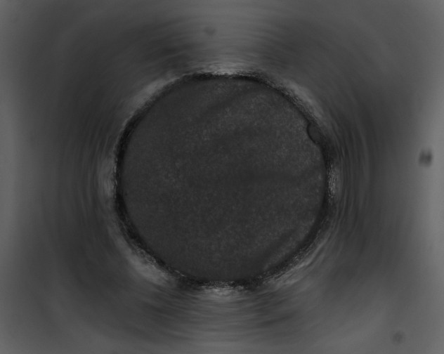 X0000101140540200807181257