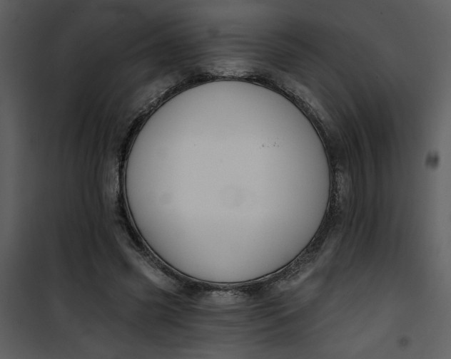 X0000101140541200807181257