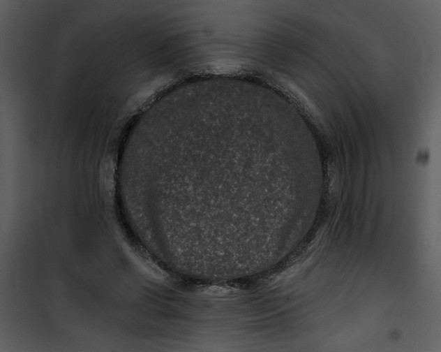 X0000101140542200807181257