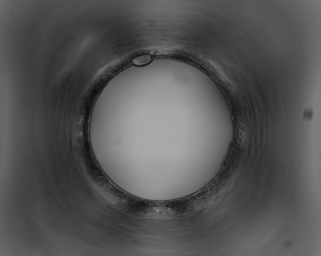 X0000101140543200807181257