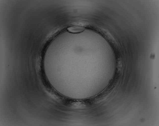 X0000101140544200807181257