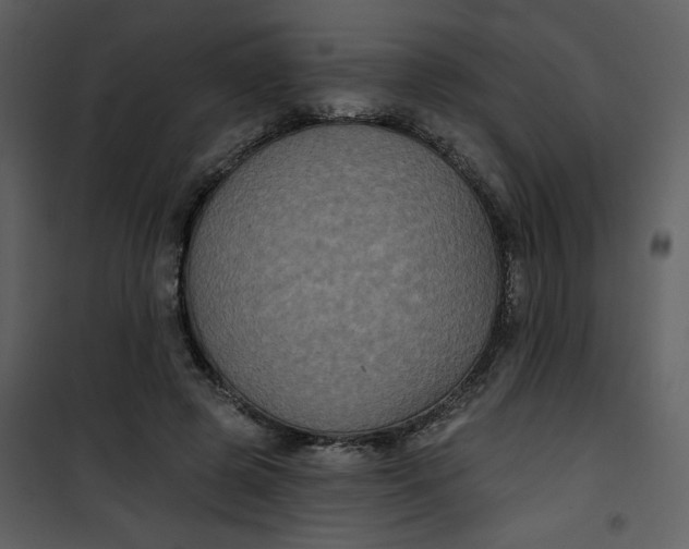 X0000101140545200807181257