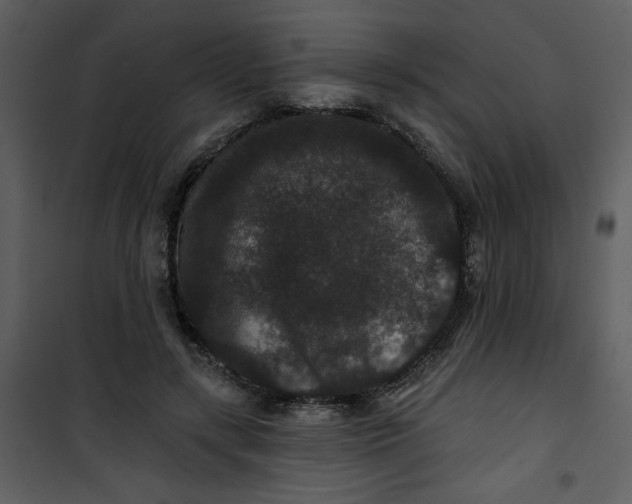 X0000101140547200807181257