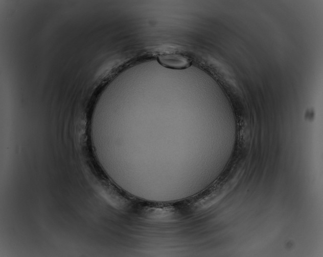 X0000101140548200807181257