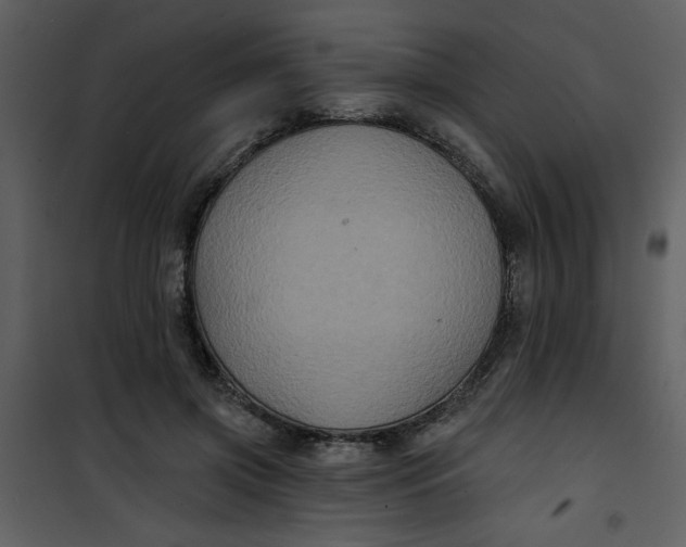 X0000101140549200807181257