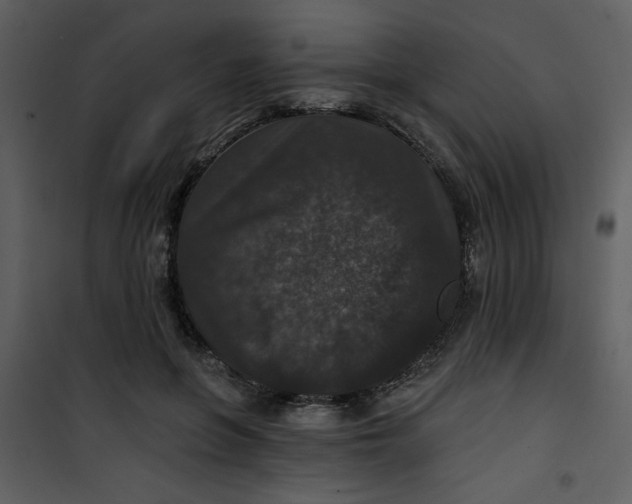 X0000101140551200807181257