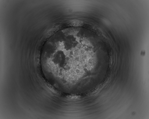 X0000101140553200807181257