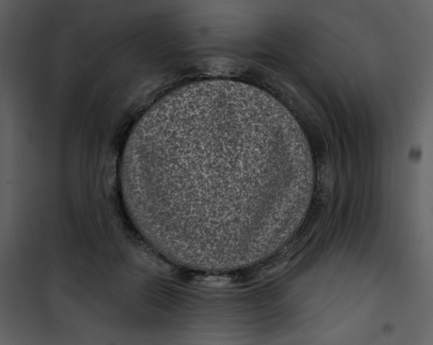 X0000101140554200807181257