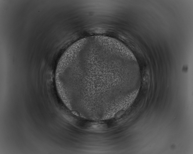 X0000101140555200807181257