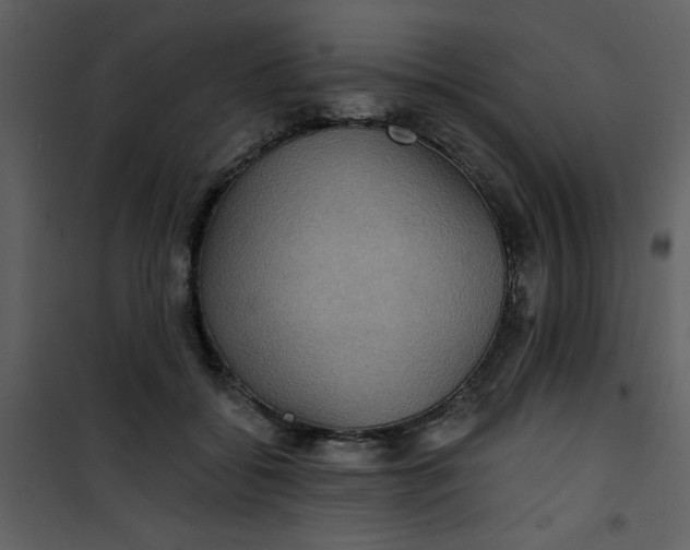 X0000101140556200807181257