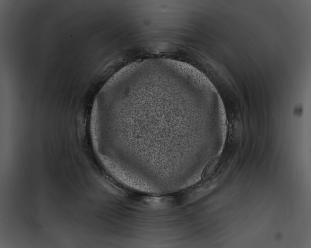 X0000101140558200807181257