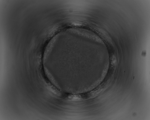 X0000101140559200807181257