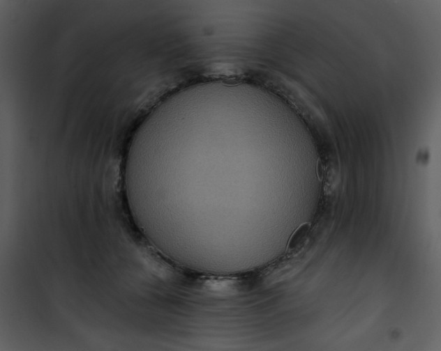 X0000101140560200807181257