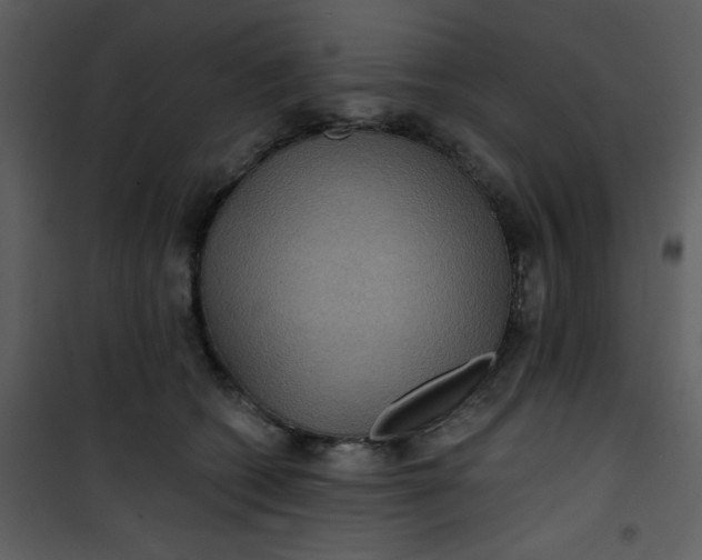 X0000101140562200807181257