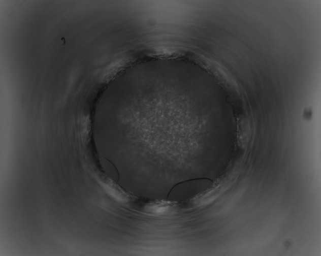 X0000101140563200807181257