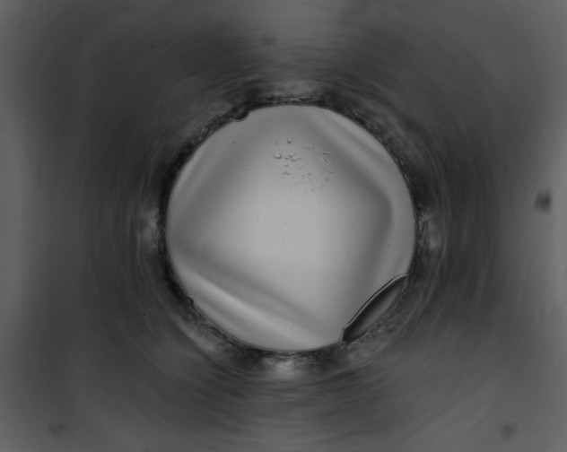 X0000101140564200807181257