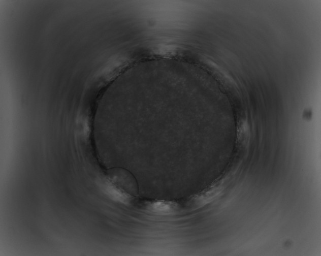 X0000101140566200807181257