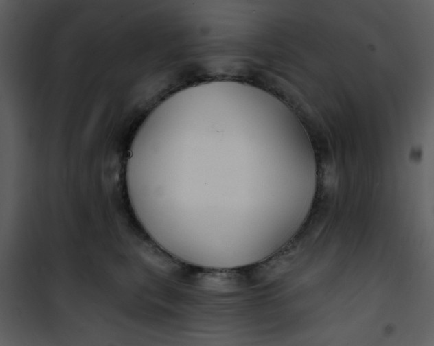 X0000101140567200807181257