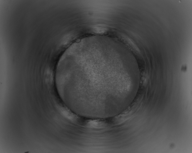 X0000101140568200807181257