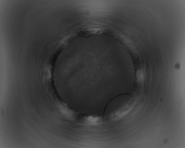 X0000101140570200807181257