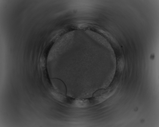 X0000101140571200807181257