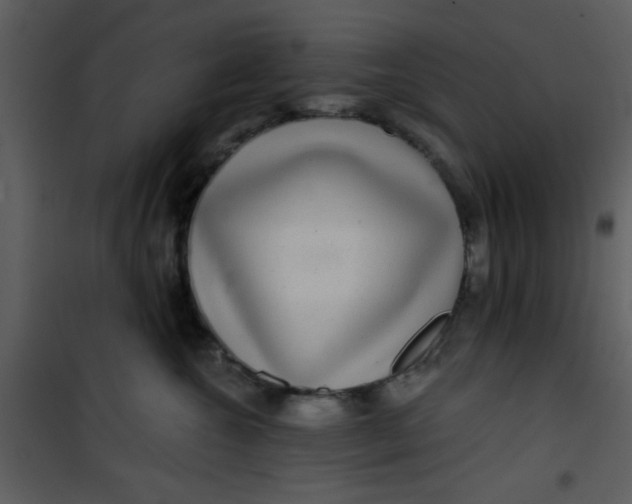 X0000101140572200807181257