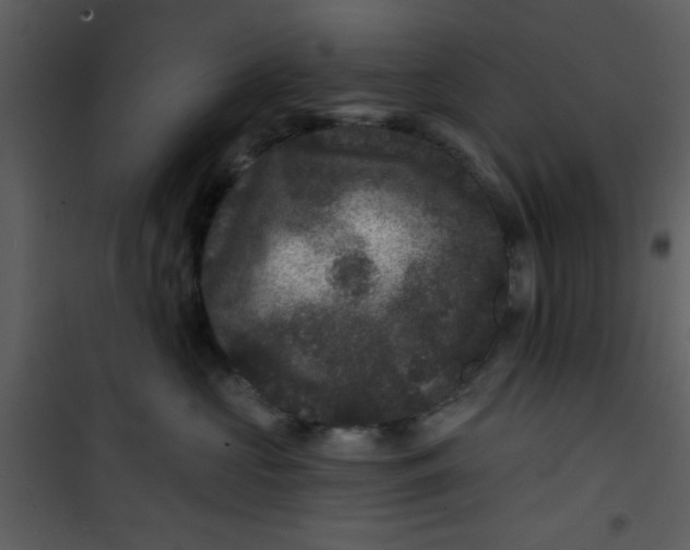 X0000101140573200807181257