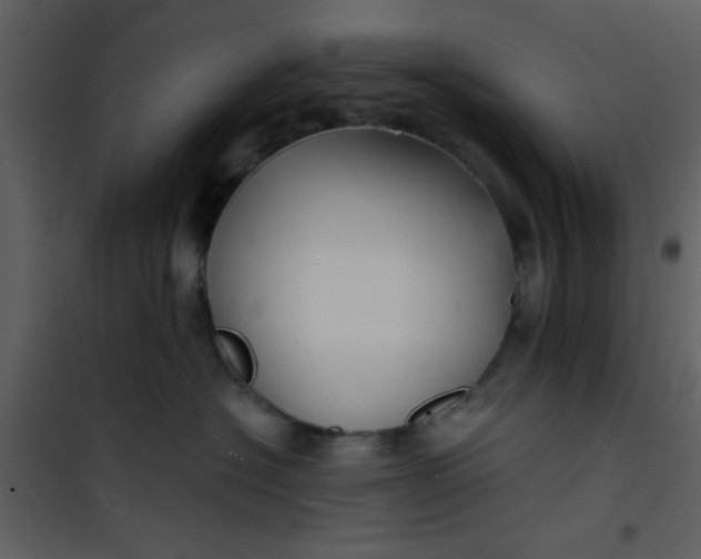 X0000101140574200807181257