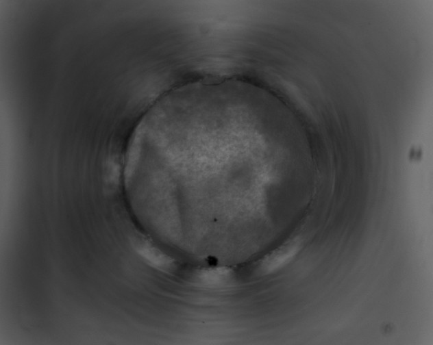 X0000101140576200807181257