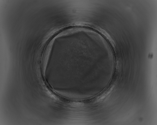 X0000101140577200807181257