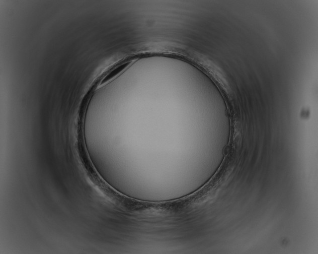 X0000101140578200807181257