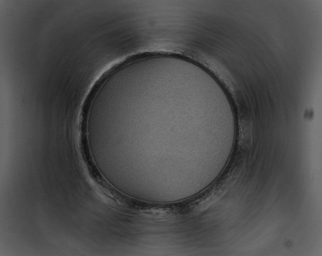 X0000101140580200807181257