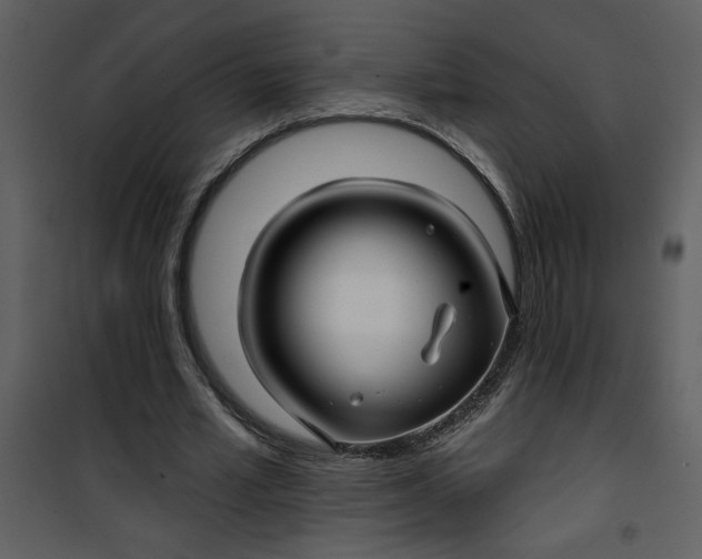 X0000101140581200807181257