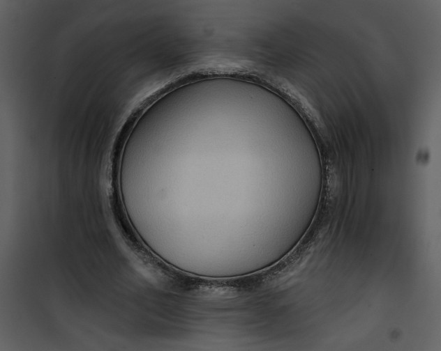 X0000101140582200807181257