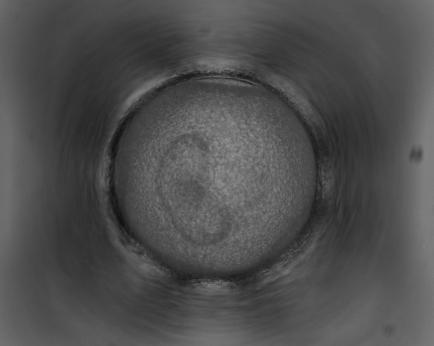 X0000101140583200807181257