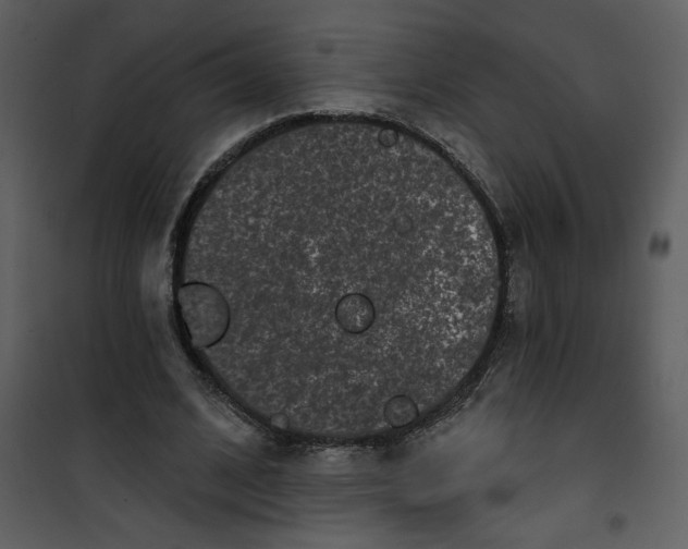 X0000101140584200807181257