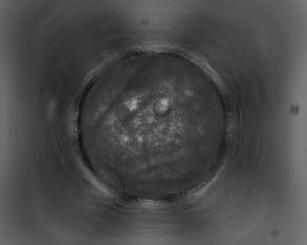 X0000101140585200807181257