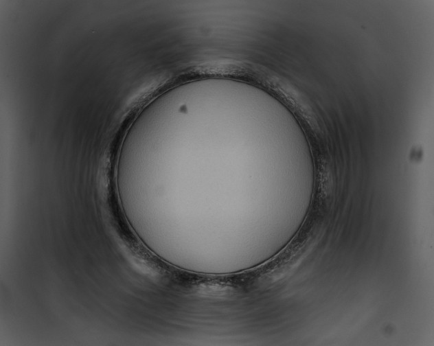 X0000101140586200807181257