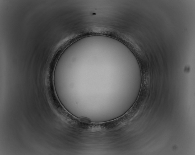 X0000101140587200807181257