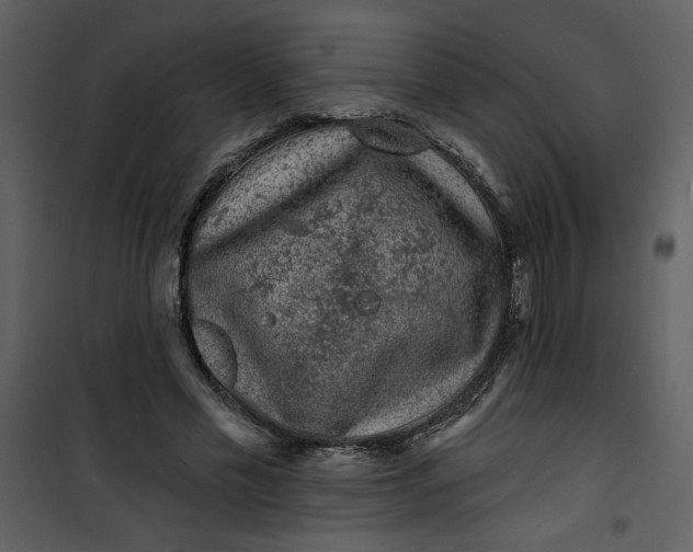 X0000101140589200807181257