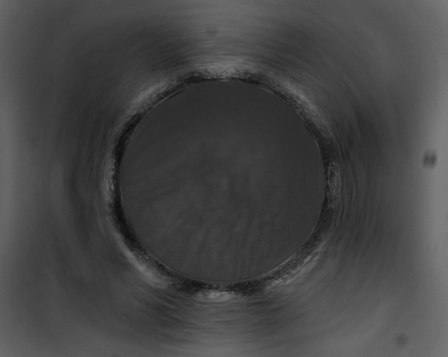 X0000101140590200807181257